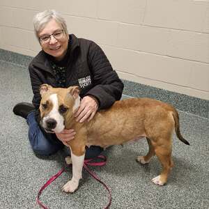 Fundraising Page: Cheryl Rice